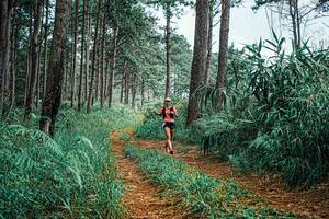 BIB: 
                            <button type="button" onclick="openModal(25688798)" class="btn btn-primary btn-sm float-right btn-popup" data-toggle="modal" data-target=".modal-high-quality">
                        <i class="fas fa-shopping-cart"></i> Add to Cart
                    </button>
                                            <button type="button" onclick="isThisMe(25688798, true)" class="btn btn-success btn-sm float-right btn-popup btn-isme hidden" data-toggle="tooltip" data-placement="bottom" title="นี่คือรูปของคุณใช่ไหม คลิกที่นี่เพื่อเอาเข้าอัลบั้ม">
                        <i class="fas fa-plus"></i> Add to album
                    </button>
                    <button type="button" onclick="isThisMe(25688798, false)" class="btn btn-warning btn-sm float-right btn-popup btn-isnotme hidden">
                        <i class="fas fa-ban"></i> Remove from album
                    </button>